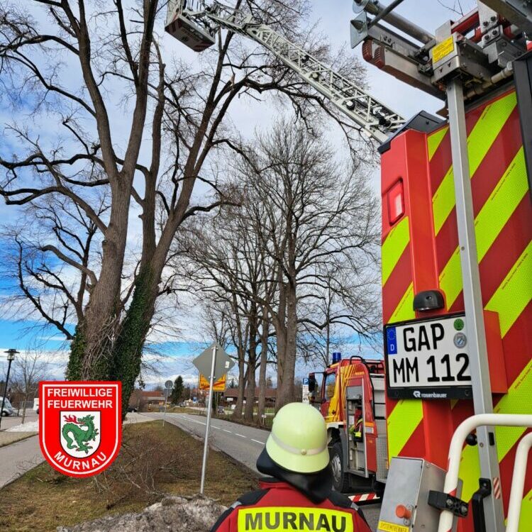 Sturmsch Den Freiwillige Feuerwehr Murnau